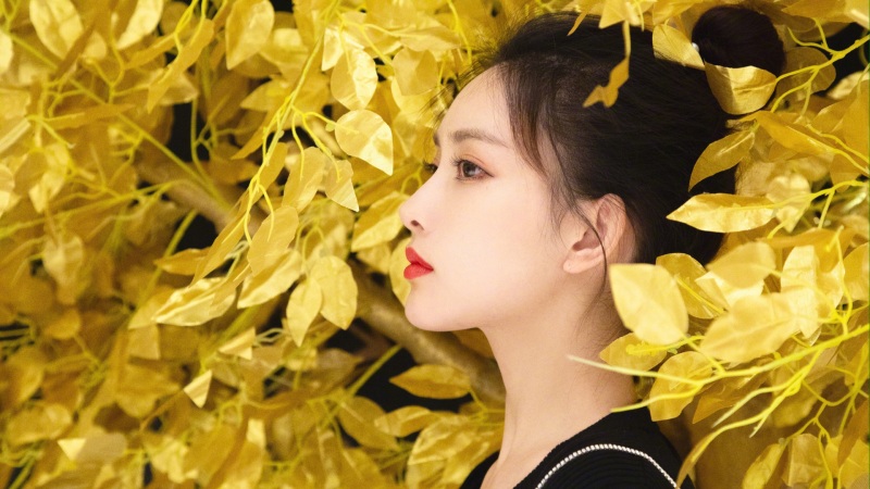 原神魈怎么配队 魈配队阵容推荐